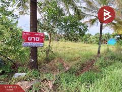 ขายที่ดิน เนื้อที่ 1 ไร่ 74 ตร.วา ปากนคร นครศรีธรรมราช-202508222135211755873321288.jpg