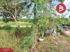 ขายที่ดิน เนื้อที่ 1 ไร่ 74 ตร.วา ปากนคร นครศรีธรรมราช-202508222135241755873324006.jpg
