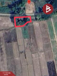 ขายที่ดิน เนื้อที่ 62 ตร.วา ท่าจำปี พะเยา-202508230906451755914805548.jpg