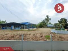 ขายบ้านเดี่ยว เนื้อที่ 1 ไร่ 3 งาน 40 ตร.วา วัดสิงห์ ชัยนาท-202508231020301755919230699.jpg