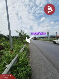 ขายที่ดิน เนื้อที่ 1 ไร่ 1 งาน 11.9 ตร.วา เวียงสระ สุราษฎร์ธานี-202508231034081755920048255.jpg