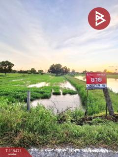 ขายที่ดิน เนื้อที่ 3 ไร่ 3 งาน 83.5 ตร.วา ดงลาน ร้อยเอ็ด-202508231222461755926566402.jpg