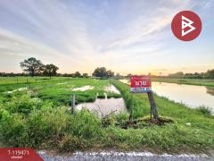 ขายที่ดิน เนื้อที่ 3 ไร่ 3 งาน 83.5 ตร.วา ดงลาน ร้อยเอ็ด-202508231222491755926569099.jpg