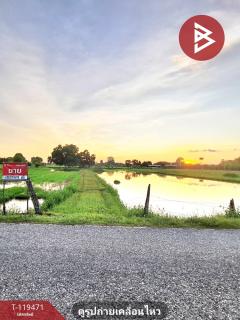 ขายที่ดิน เนื้อที่ 3 ไร่ 3 งาน 83.5 ตร.วา ดงลาน ร้อยเอ็ด-202508231222491755926569647.jpg