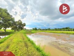 ขายที่ดิน เนื้อที่ 3 ไร่ 3 งาน 83.5 ตร.วา ดงลาน ร้อยเอ็ด-202508231222501755926570164.jpg