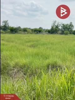 ขายที่ดิน เนื้อที่ 1 ไร่ องครักษ์ นครนายก-202508231225201755926720417.jpg
