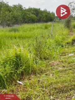 ขายที่ดิน เนื้อที่ 1 ไร่ องครักษ์ นครนายก-202508231225211755926721979.jpg