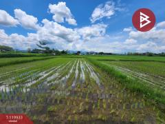 ขายที่ดิน เนื้อที่ 6 ไร่ จำป่าหวาย พะเยา-202508231235381755927338452.jpg