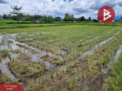 ขายที่ดิน เนื้อที่ 6 ไร่ จำป่าหวาย พะเยา-202508231235401755927340309.jpg