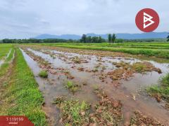 ขายที่ดิน-เนื้อที่-2-ไร่-3-งาน-44.6-ตร.วา-ท