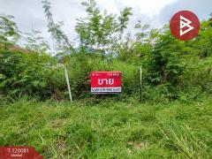 ขายที่ดินเปล่า-หมู่บ้านสวนแสนสุข-เ