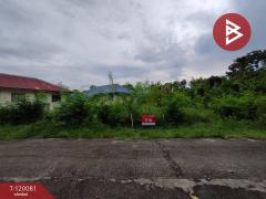 ขายที่ดินเปล่า หมู่บ้านสวนแสนสุข เนื้อที่ 1 งาน 80.3 ตร.วา องครักษ์ นครนายก-202508231558511755939531571.jpg