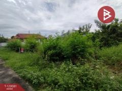 ขายที่ดินเปล่า หมู่บ้านสวนแสนสุข เนื้อที่ 1 งาน 80.3 ตร.วา องครักษ์ นครนายก-202508231558541755939534249.jpg
