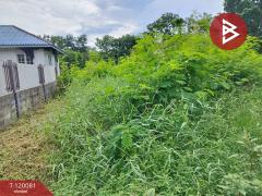 ขายที่ดินเปล่า หมู่บ้านสวนแสนสุข เนื้อที่ 1 งาน 80.3 ตร.วา องครักษ์ นครนายก-202508231558551755939535309.jpg