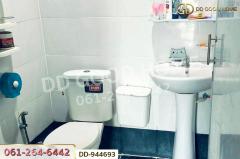 DD-944693 อาคารพาณิชย์ บ้านดู่ เมืองเชียงราย ใกล้มหาวิทยาลัยราชภัฏเชียงราย-202508231622461755940966870.jpg
