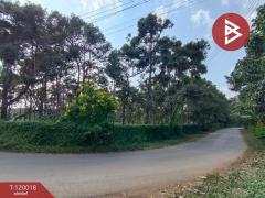 ขายที่ดินพร้อมสวน เนื้อที่ 2 ไร่ 68.6 ตร.วา ท่าใหม่ จันทบุรี-202508231720301755944430064.jpg