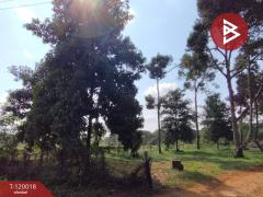 ขายที่ดินพร้อมสวน เนื้อที่ 2 ไร่ 68.6 ตร.วา ท่าใหม่ จันทบุรี-202508231720301755944430592.jpg