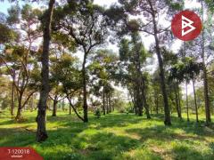 ขายที่ดินพร้อมสวน เนื้อที่ 2 ไร่ 68.6 ตร.วา ท่าใหม่ จันทบุรี-202508231720351755944435345.jpg