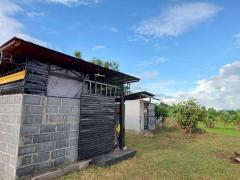 ขายที่ดินพร้อมสิ่งปลูกสร้าง อ.หนองเรือ จ.ขอนแก่น -202508232047591755956879560.jpg