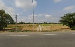 ขายที่ดิน 5 ไร่ ถ.สายลำท่าแดง ต.อินทประมูล อ.โพธิ์ทอง จ.อ่างทอง-202508232127471755959267095.jpg