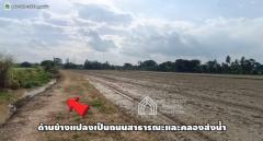 ขายที่ดิน 5 ไร่ ถ.สายลำท่าแดง ต.อินทประมูล อ.โพธิ์ทอง จ.อ่างทอง-202508232127471755959267637.jpg