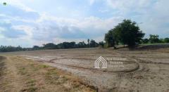 ขายที่ดิน 5 ไร่ ถ.สายลำท่าแดง ต.อินทประมูล อ.โพธิ์ทอง จ.อ่างทอง-202508232127481755959268171.jpg