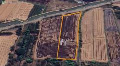 ขายที่ดิน 5 ไร่ ถ.สายลำท่าแดง ต.อินทประมูล อ.โพธิ์ทอง จ.อ่างทอง-202508232127481755959268701.jpg