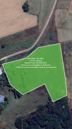 ที่ดิน //ถูกสุด//ขายที่ดินเปล่าติดถนน (ระดับเสมอถนน) 7 ไร่ (ใกล้ท่าอากาศยานโพธาราม) ต.เขาชะงุ้ม อ.โพธาราม ราชบุรี ราคา 3,010,000 บาท (โอนฟรี)  0 ตารางวา 0 Ngan 7 ไร่ 3010000 BAHT ใกล้ ใกล้ท่าอากาศยานโพธาราม ด่วน ๆ ราชบุรี   