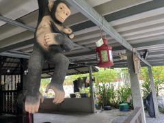 ขายบ้านสวน 276 ตร.ว. อ.บ้านนา โฉนดครุฑแดง ขายพร้อมโอน 1.99 ล้านบาท -202508240807051755997625474.jpg