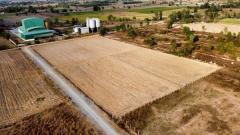 ขายที่ดิน สีม่วงล้วน อ.ดอนเจดีย์ จ.สุพรรณบุรี 455 ตารางวา ราคา 1,500 บาท/วา ยกแปลง 667,500 บาท โทร/ไลน์ 086 327 1289 (คุณนก)-202508241146391756010799929.jpg