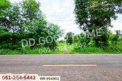 WR-994902 ที่ดินพระธาตุบังพวน 24 ไร่ 321 ตร.ว. หนองคาย ใกล้พระธาตุบังพวน-202508241341531756017713971.jpg