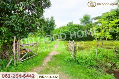 WR-994902 ที่ดินพระธาตุบังพวน 24 ไร่ 321 ตร.ว. หนองคาย ใกล้พระธาตุบังพวน-202508241341551756017715682.jpg