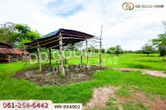 WR-994902 ที่ดินพระธาตุบังพวน 24 ไร่ 321 ตร.ว. หนองคาย ใกล้พระธาตุบังพวน-202508241341561756017716285.jpg