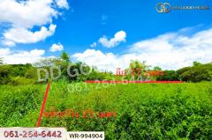 WR-994904 ที่ดินมีชัย 190.4 ตร.ว. หนองคาย ใกล้สะพานมิตรภาพไทย-ลาว แห่งที่ 1 (หนองคาย–เวียงจันทน์)-202508241408541756019334059.jpg