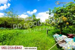 WR-994904 ที่ดินมีชัย 190.4 ตร.ว. หนองคาย ใกล้สะพานมิตรภาพไทย-ลาว แห่งที่ 1 (หนองคาย–เวียงจันทน์)-202508241408541756019334722.jpg