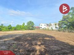 ขายที่ดิน-เนื้อที่-3-งาน-15-ตร.วา-เกาะขว