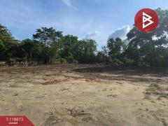 ขายที่ดิน เนื้อที่ 3 งาน 15 ตร.วา เกาะขวาง จันทบุรี-202508241437031756021023657.jpg