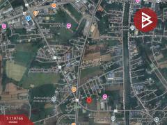 ขายที่ดิน เนื้อที่ 10 ไร่ 1 ตร.วา บ้านเกาะ อุตรดิตถ์-202508241543021756024982918.jpg