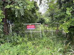 ขายที่ดิน 23 ไร่ ติดถนนเลียบคลองระพีพัฒน์ หนองเสือ ปทุมธานี 098 7755 808-202508241623351756027415306.jpg