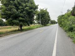 ขายที่ดิน 23 ไร่ ติดถนนเลียบคลองระพีพัฒน์ หนองเสือ ปทุมธานี 098 7755 808-202508241623381756027418045.jpg