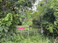 ขายที่ดิน 23 ไร่ ติดถนนเลียบคลองระพีพัฒน์ หนองเสือ ปทุมธานี 098 7755 808-202508241623391756027419622.jpg