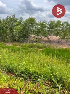 ขายที่ดิน เนื้อที่ 2 ไร่ องครักษ์ นครนายก-202508241716211756030581367.jpg