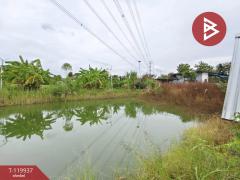  ขายที่ดิน เนื้อที่ 1 ไร่ 25 ตร.วา บ้านโป่ง ราชบุรี-202508251016321756091792990.jpg