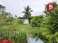  ขายที่ดิน เนื้อที่ 1 ไร่ 25 ตร.วา บ้านโป่ง ราชบุรี-202508251016341756091794046.jpg