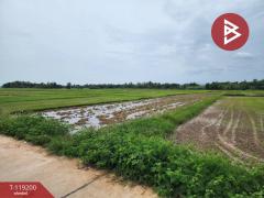 ขายที่ดิน เนื้อที่ 1 ไร่ 1 งาน 81 ตร.วา ท่าจำปี พะเยา-202508251243311756100611213.jpg