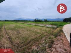 ขายที่ดิน เนื้อที่ 1 ไร่ 1 งาน 81 ตร.วา ท่าจำปี พะเยา-202508251243311756100611811.jpg
