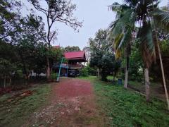 ขายที่ดินพร้อมสิ่งปลูกสร้าง บ้านเรือนไทย โฉนดที่ดิน ครุฑแดง อำนาจเจริญ -202508251459251756108765720.jpg
