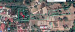 ขายที่ดินพร้อมสิ่งปลูกสร้าง บ้านเรือนไทย โฉนดที่ดิน ครุฑแดง อำนาจเจริญ -202508251459321756108772619.jpg