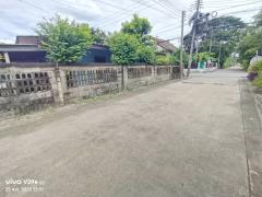 ขายถูกมาก ที่ดินพร้อมบ้าน 3 หลัง ซอยธรรมสุธีร์ 13 เมืองปทุมธานี-202508251621561756113716326.jpg
