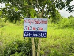 ขายที่ดิน อ. ท่าเรือ อยุธยา (ไร่ละ 1 ล้าน)-202508251646251756115185049.jpg